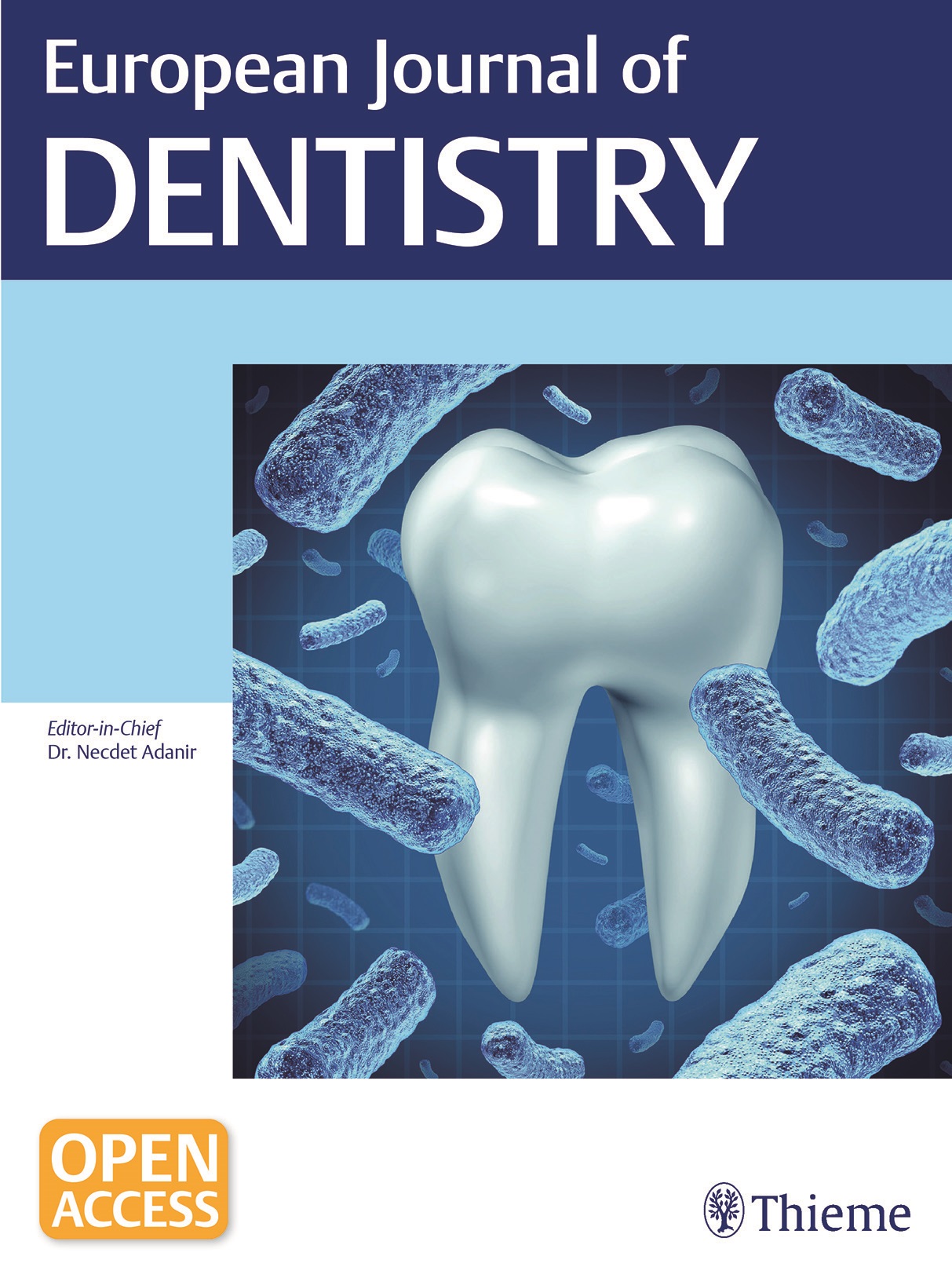 European Journal of Dentistry