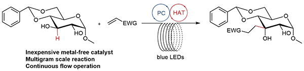 α-C–H Photoalkylation.gif