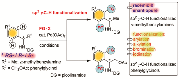 Pd(II)-Catalyzed.gif