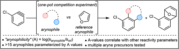 Parameterization of Arynophiles.gif