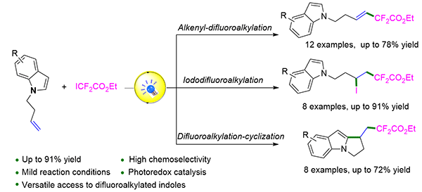 Photo-Induced Selective Difluoroalkylation.gif