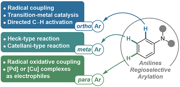 Direct Arylation.gif