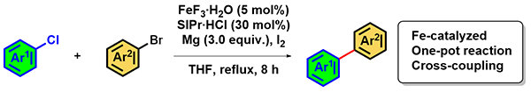 One-Pot Iron-Catalyzed.gif