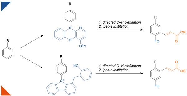 Regioselective Double C–H Functionalization.gif