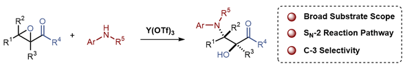 22-Yttrium-Catalyzed Regioselective Aminolysis.gif