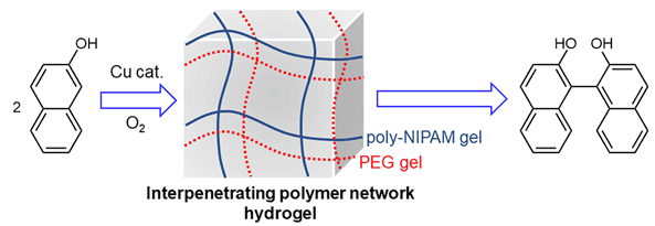 28-Smart Hydrogel Reactor of Poly(N-isopropylacrylamide).gif