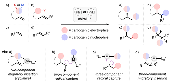 Ni- and Pd-Catalyzed Enantioselective.gif