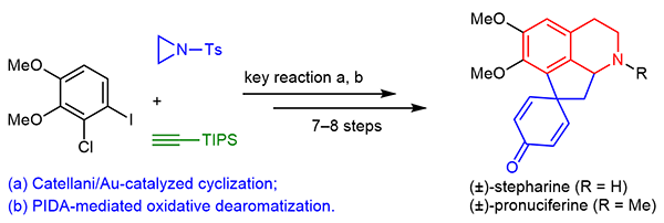 A Concise Total Synthesis.gif