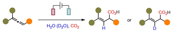 Electrochemical Hydro- and Deuterocarboxylation.gif