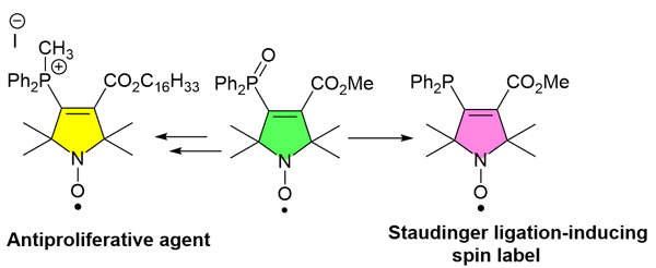 Synthesis of 3,4-Disubstituted Pyrroline.gif