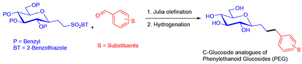 Synthesis of C-Glucoside Analogues.gif