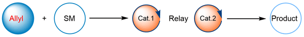 Asymmetric Allylic Substitution.gif