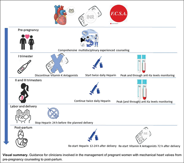 Anticoagulant Therapy in Pregnant.jpg