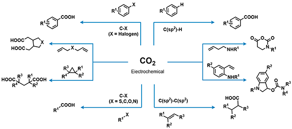 Recent Advances and Challenges.gif