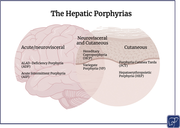 Understanding Hepatic P.jpg