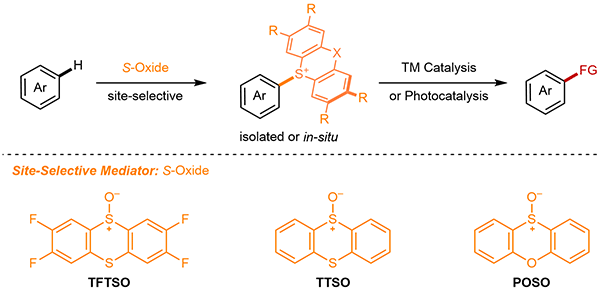 7-Recent Advances in Thianthrenatio.gif