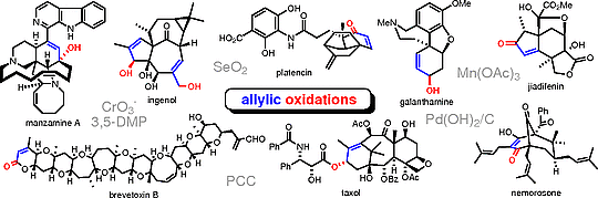 8-Allylic Oxidations.gif
