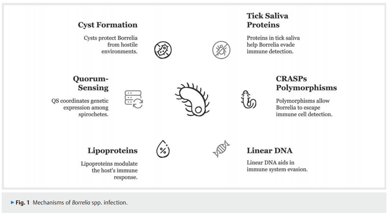 69781382a4d62.png The Therapeutic 2.png