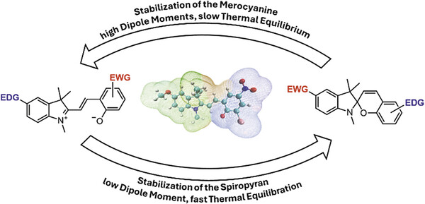 Synthesis_New Insight.jpg