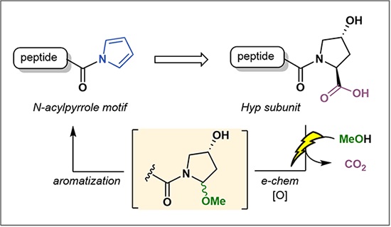 Synthesis of Peptide.jpg