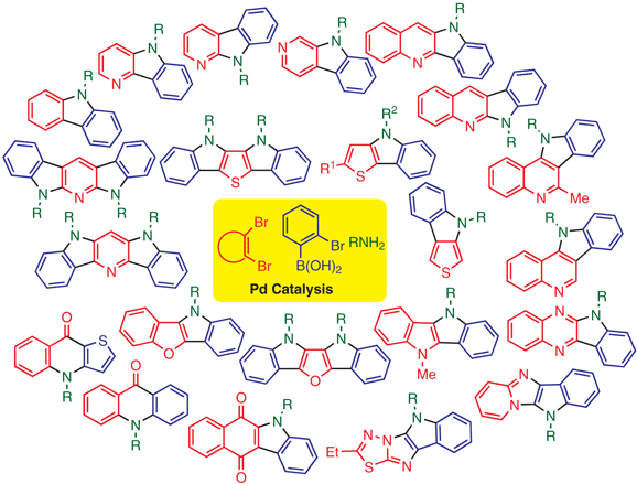 Palladium-Catalyzed Synthesis.gif