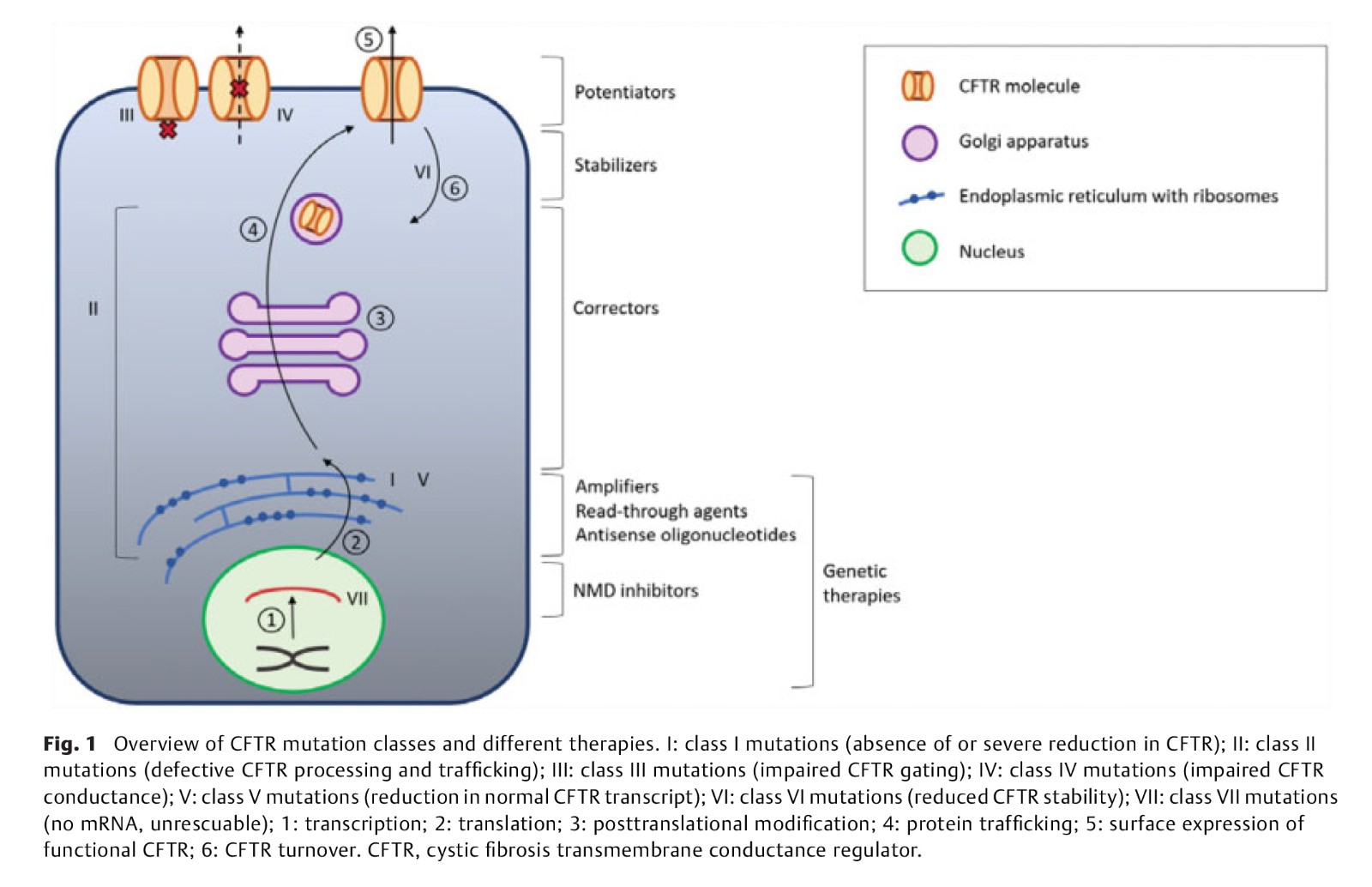 Treating the Underlying-2.jpg