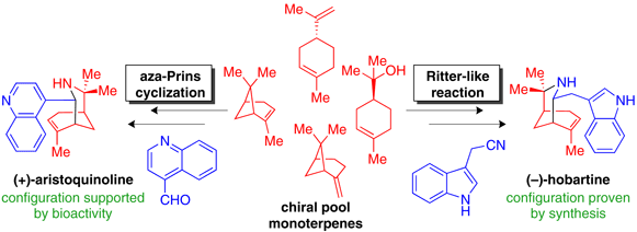 Syntheses of Aristotelia.gif