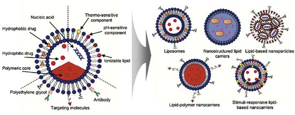 Lipid-Based Nanocarrier.jpg