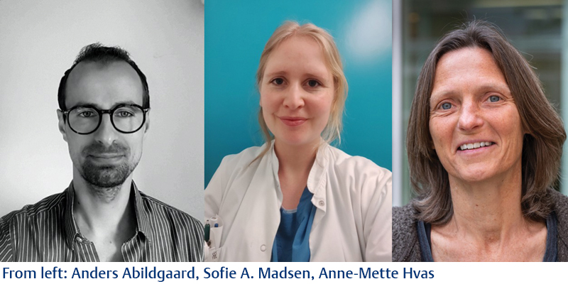 Anders Abildgaard, Sofie A. Madsen, Anne-Mette Hvas.jpg