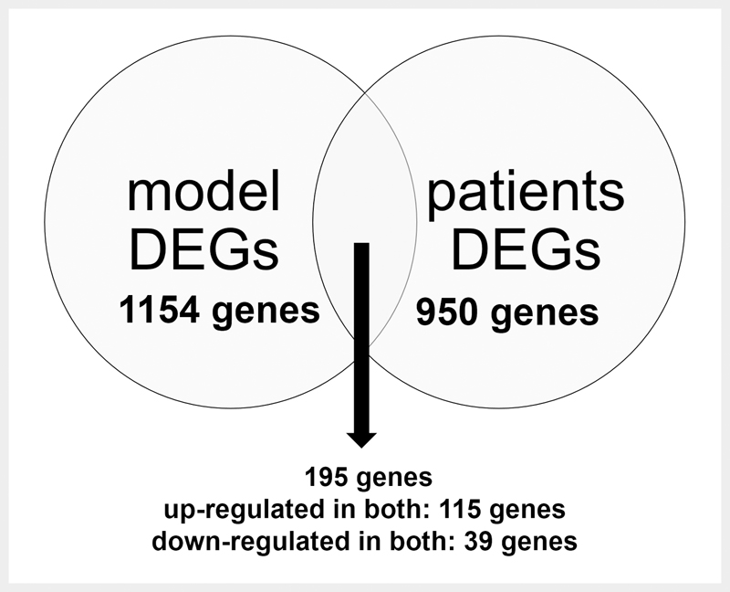 Genes Relating to.jpg