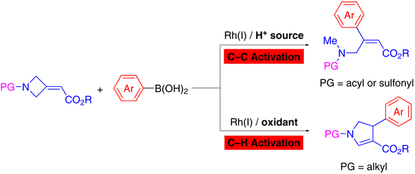 Rhodium-Catalyzed.gif