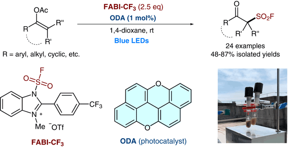 Photo-organocatalytic.gif