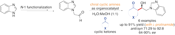 Organocatalytic Synthesis.gif