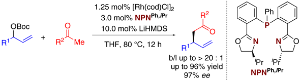 Rhodium-Catalyzed.gif