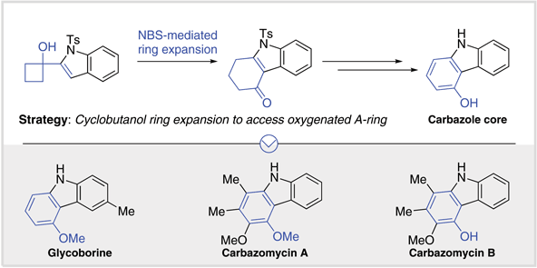 A Cyclobutanol Ring-Expansion Approach.gif