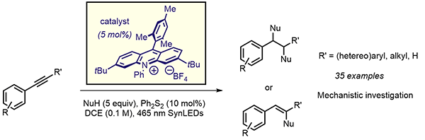 Divergent Functionalization of Alkynes.gif