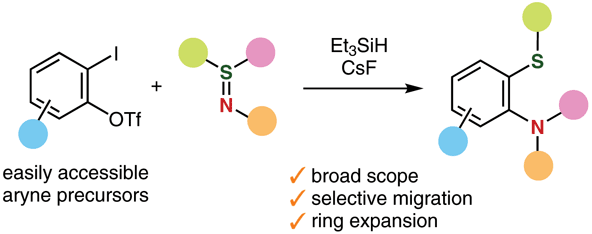 Migrative Thioamination of Aryne Intermediates.gif