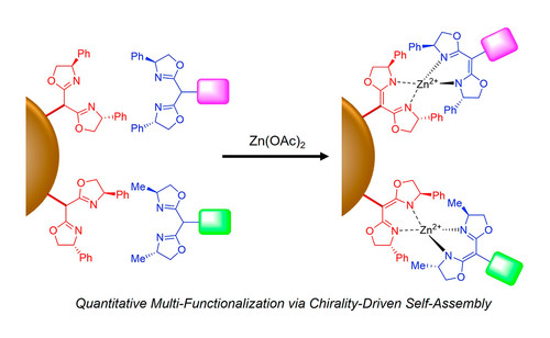 Multi-Functionalization of Solid.jpg