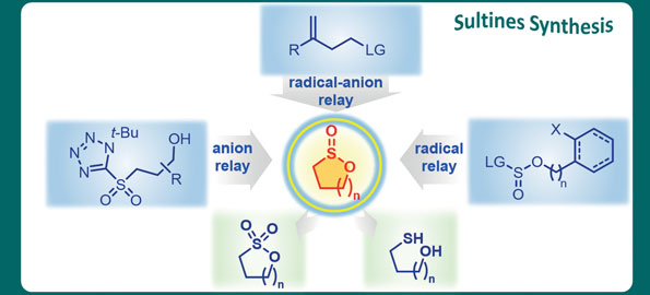 New Advances in Sultine Chemistry.jpg