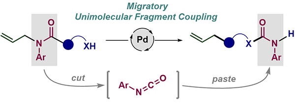 Palladium-Catalyzed Unimolecular Fragment Coupling.gif