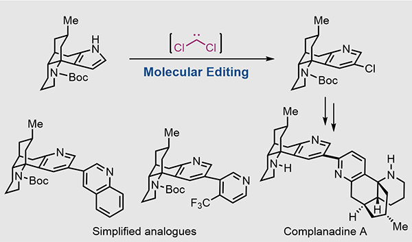 Concise Total Synthesis of Complanadine A Enabled.gif