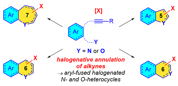 Halogenative Annulation Reactions of Alkyne-Tethered.gif