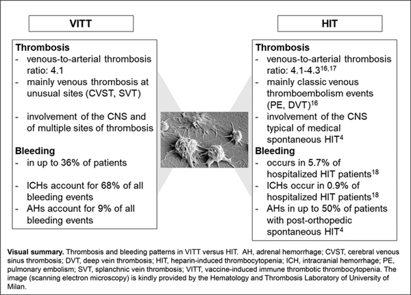Thrombosis and Bleeding.jpg