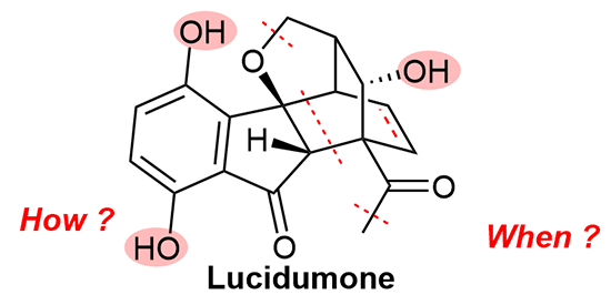 Total Synthesis of Lucidumone.gif