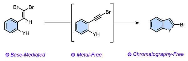 Base-Mediated Synthesis.gif