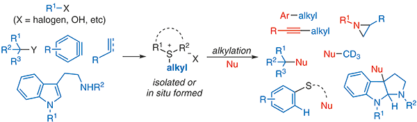 18-Alkylation Reactions with.gif