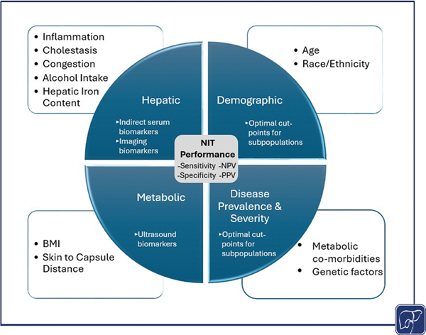 2-Noninvasive Tests to Assess.jpg