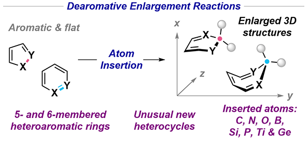 Modern Dearomative Enlargement.gif