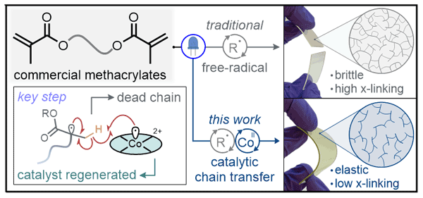 Catalytic Chain Transfer.gif