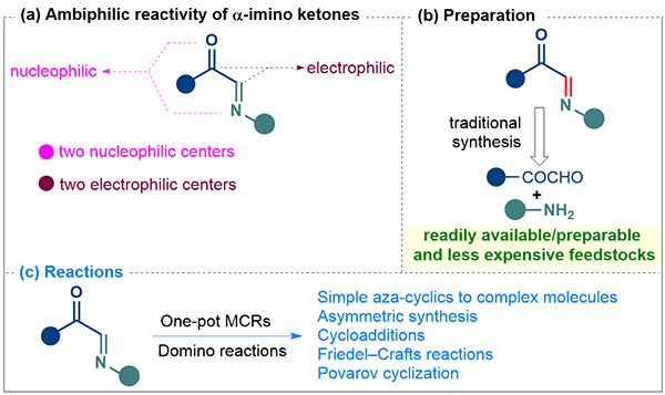 Synthetic Organic Chemistry of α-Imino.gif